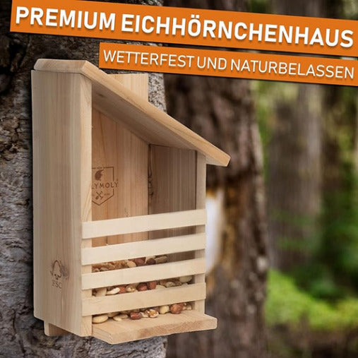 Eichhörnchenhaus Bernardo