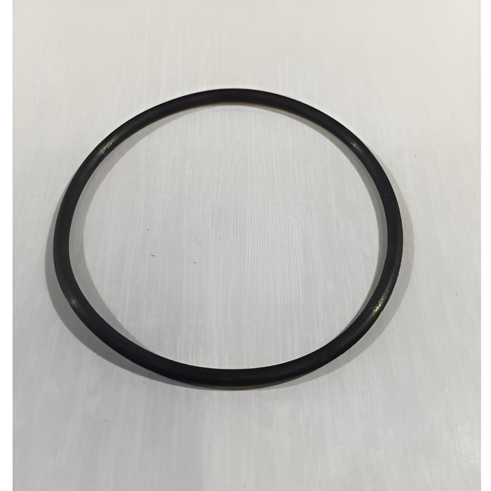 Intex O-Ring für Kupfer Elektrode, Original Ersatzteil für Intex Salzwassersysteme