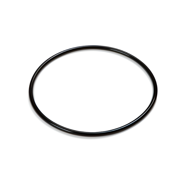 Intex O-Ring für Titan Elektrode, Original Ersatzteil für Krystal Clear Salzwassersystem QS1200