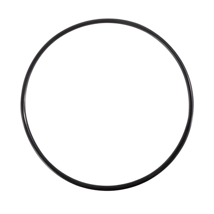 Intex O-Ring für Filterdeckel