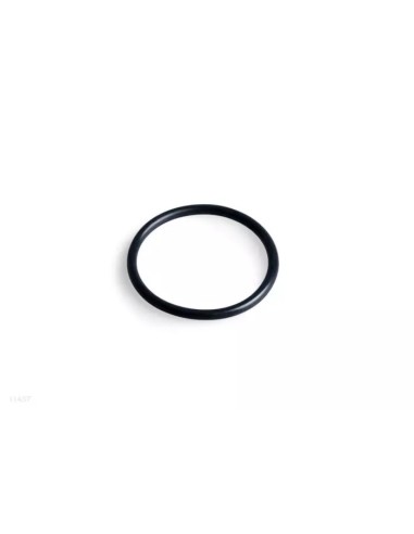 Intex O-Ring Vorfiltereinheit, Ø 60 x 4 mm