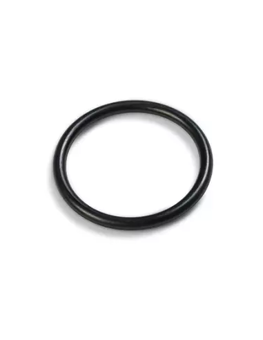 Intex O-Ring A, Ø 53x3 mm