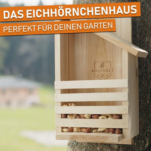 Eichhörnchenhaus Bernardo