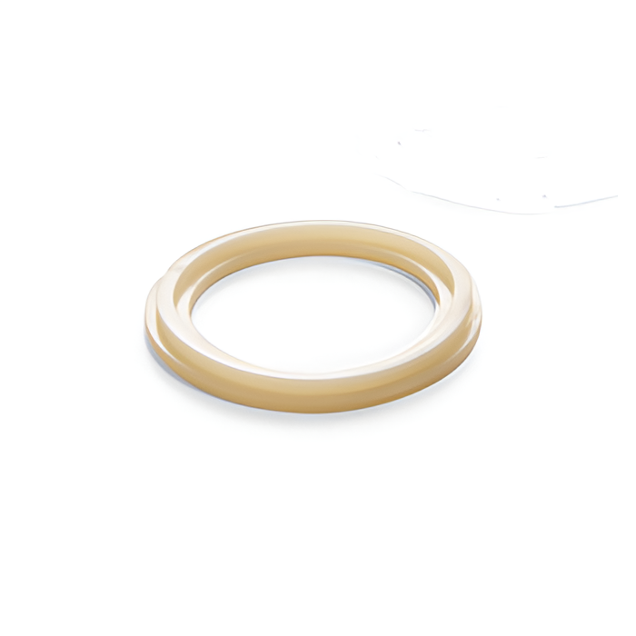 Intex Dichtungsring, Absperrschieber / Verschraubung