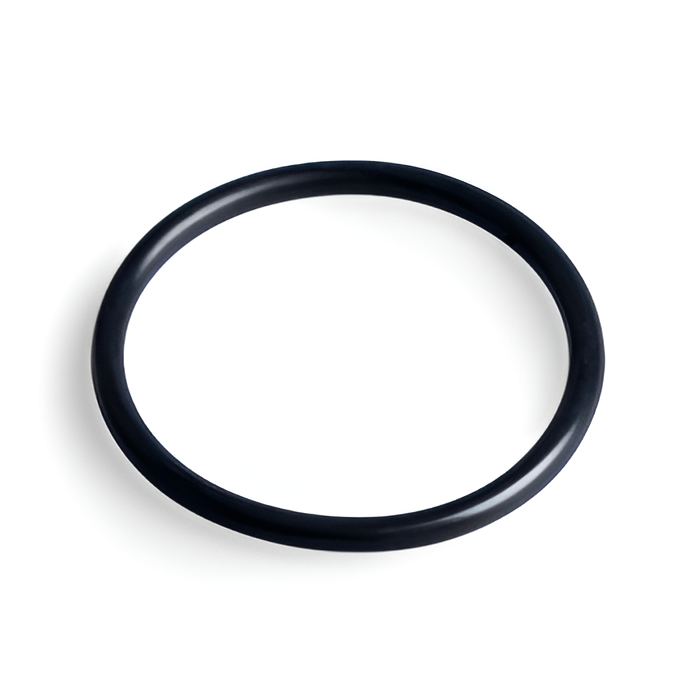 Intex O-Ring Vorfiltereinheit