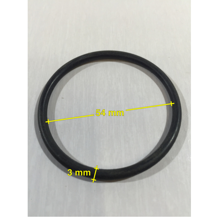Steinbach O-Ring Dichtung für Sandfilteranlage Filterpumpe SPS, Innen-Ø 54 mm, Außen-Ø 60 mm, 3 mm Dicke